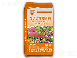 �ͺ�΢�������-�������