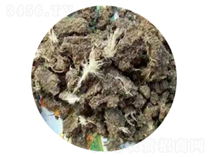 ���u�S-�ָ��� 