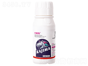 �E�R��(zhu��n)��ˎ�߶Ȱ�ȫ�Ϲ�ͨ�� ���σ�(y��u)ʿ