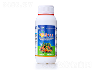 �|̦������-ʮ��ڱ������˶��f��-������ 