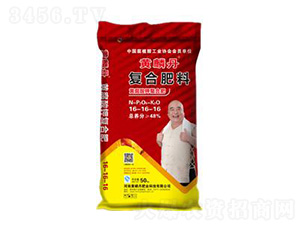 48%�S����⛏�(f��)�Ϸ���