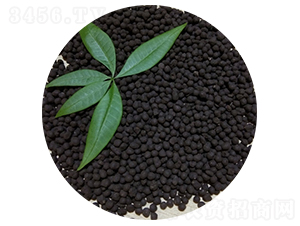 ����u�S��-�T������ 