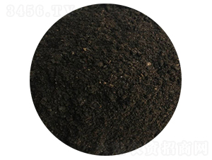 ���S-ʥ������