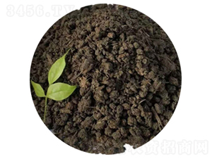 �w����S-ʥ������