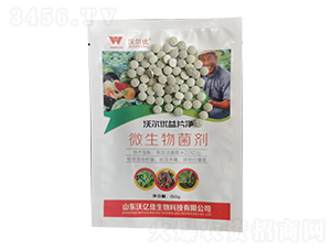 ΢�������-�֠���(y��u)��Ƭ��-�փ|��