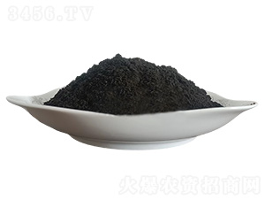 �l(f��)��ţ�S����ĩ��-�ּѷʘI(y��)