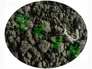 ���u�S1̖-ӭ������