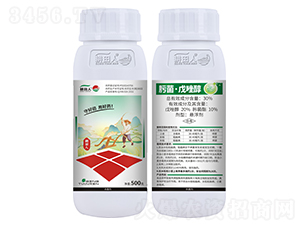 30%뿾������򴼑Ҹ���-������ 