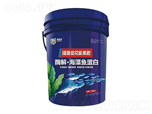 ø�⡤�����~(y��)����-���_(d��)