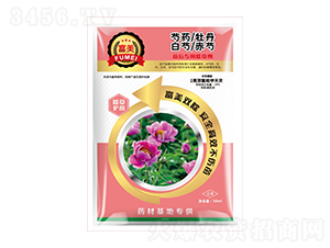 ��ˎ/ĵ��/����/��������ó��݄�-���� 