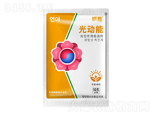 ������ô��M��-���š������-ϲ��{��