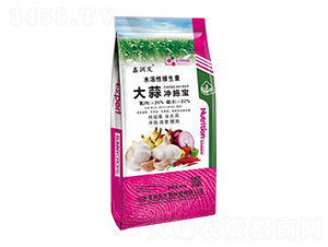 ����_ʩ��-��ţ����