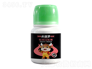 ��ѿ�ֻ���-�����_