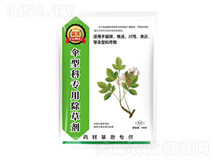 ǰ��/��(d��)��/��ܺ/Ǽ����Ϳƌ��ó��݄�-����